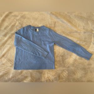 Blue Sweater